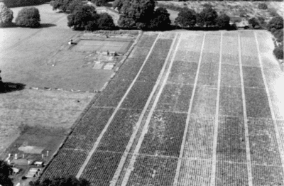 To measure or not to measure; the role of science in modern agriculture
