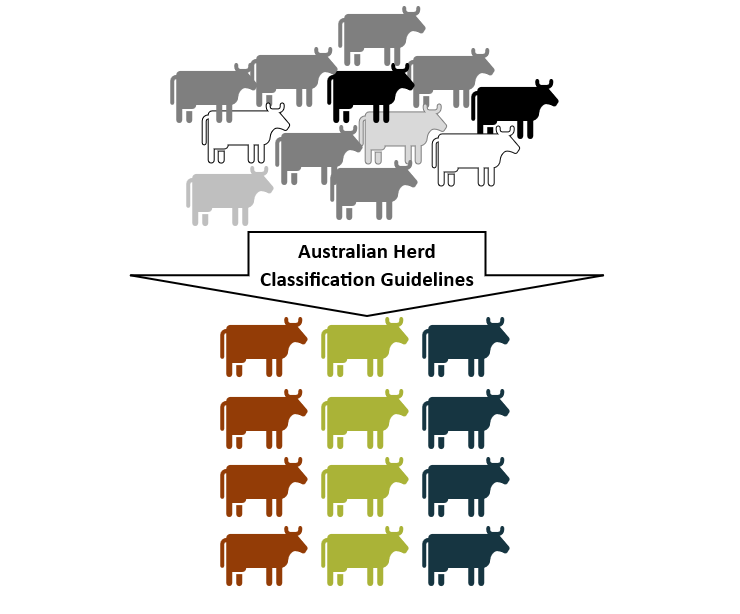 Removing the grey areas in herd numbers and performance