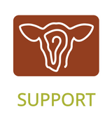 HerdFlow Additional Support